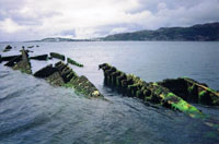 Circa 2010 - The wreck of the Port Napier in Loch Na Beiste with Kyle in the distance